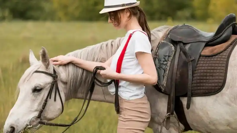 Perfect Saddle